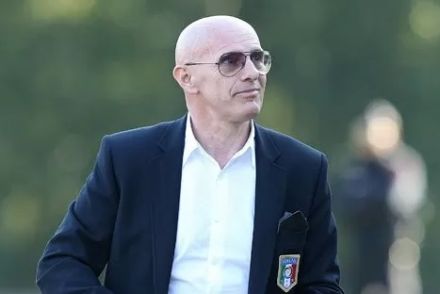 sacchi