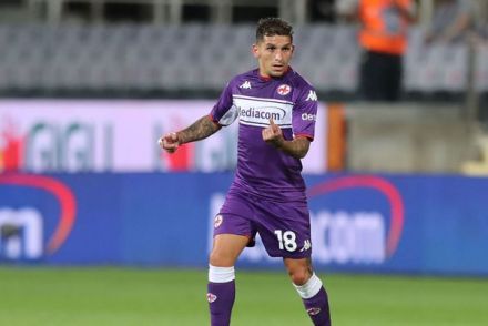 Torreira