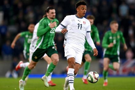 Dan Ndoye for Switzerland